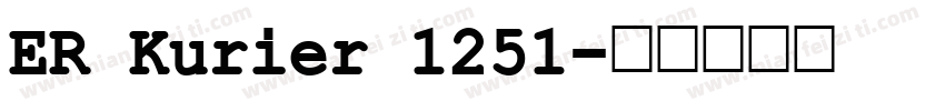 ER Kurier 1251字体转换